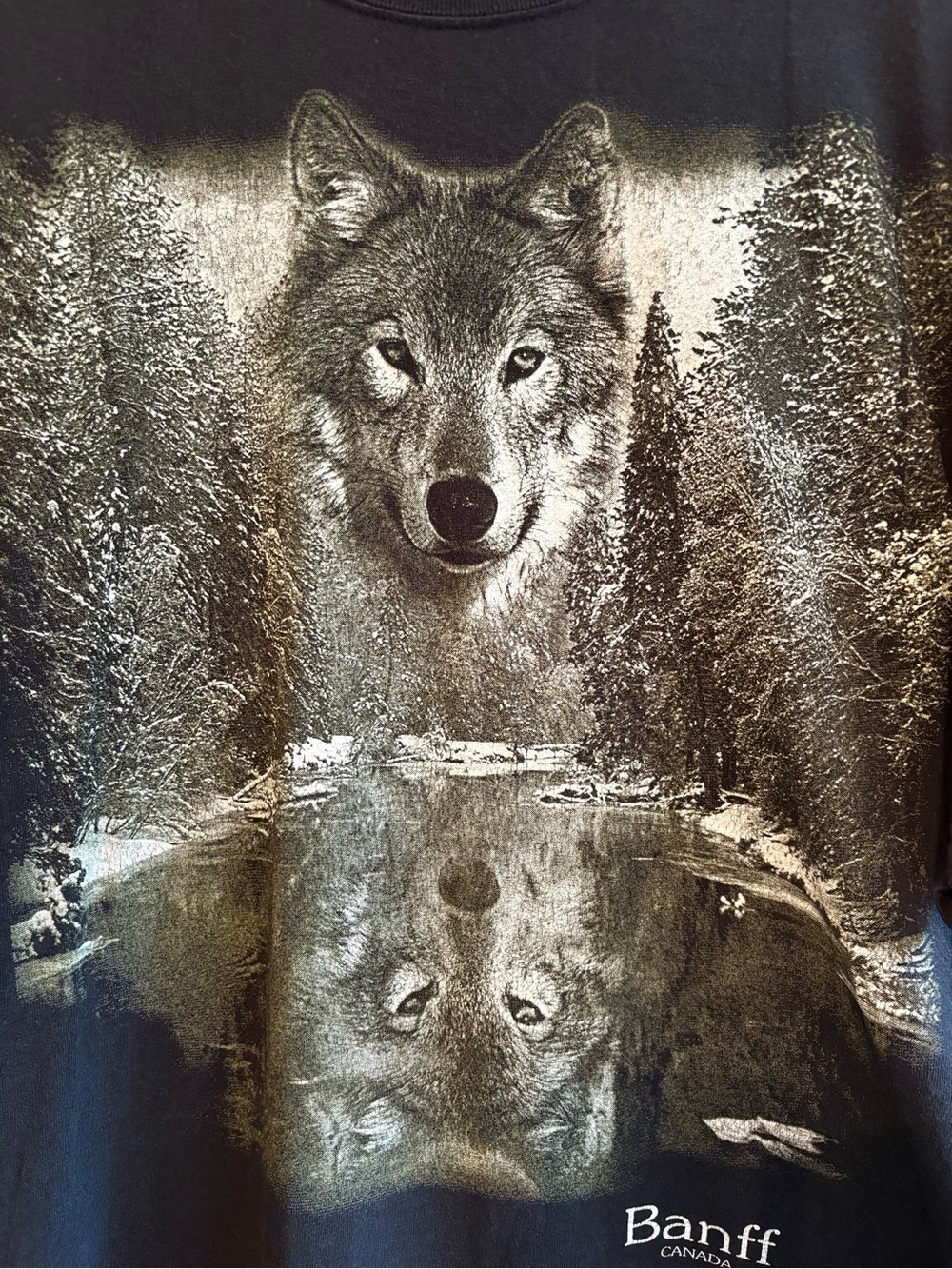 Vintage Banff teeshirt wolf reflection Gildan tag - Picture 3 of 8